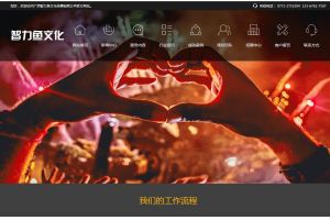 廣西智力魚(yú)文化傳播有限公司